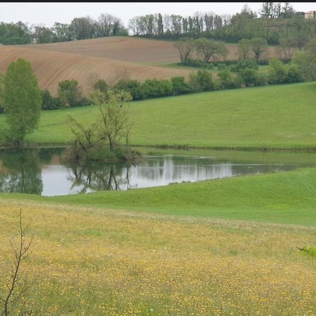 Seuls En Pleine Nature - Gite La Cote Blanche Puygaillard-de-Quercy エクステリア 写真