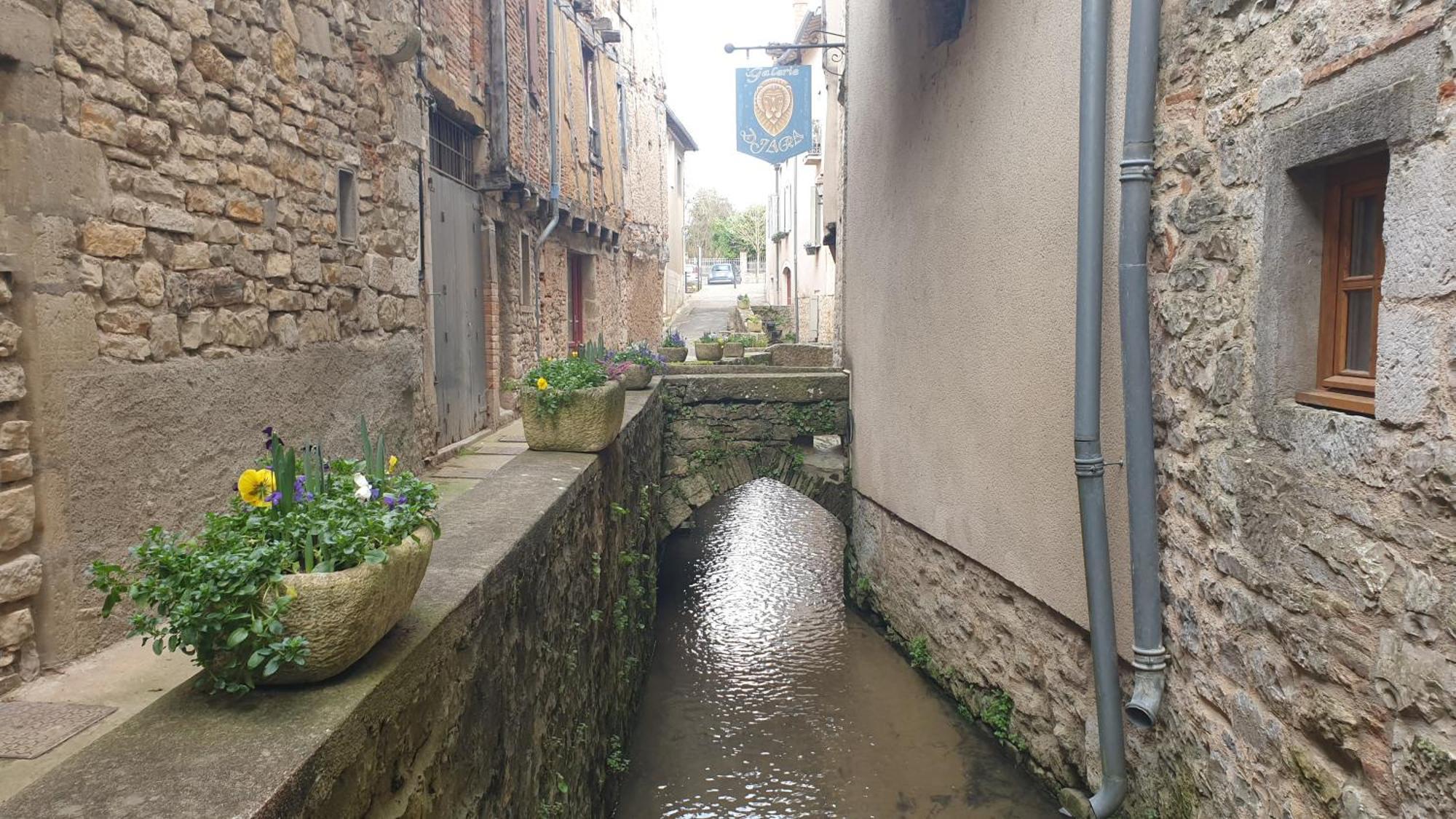 Seuls En Pleine Nature - Gite La Cote Blanche Puygaillard-de-Quercy エクステリア 写真