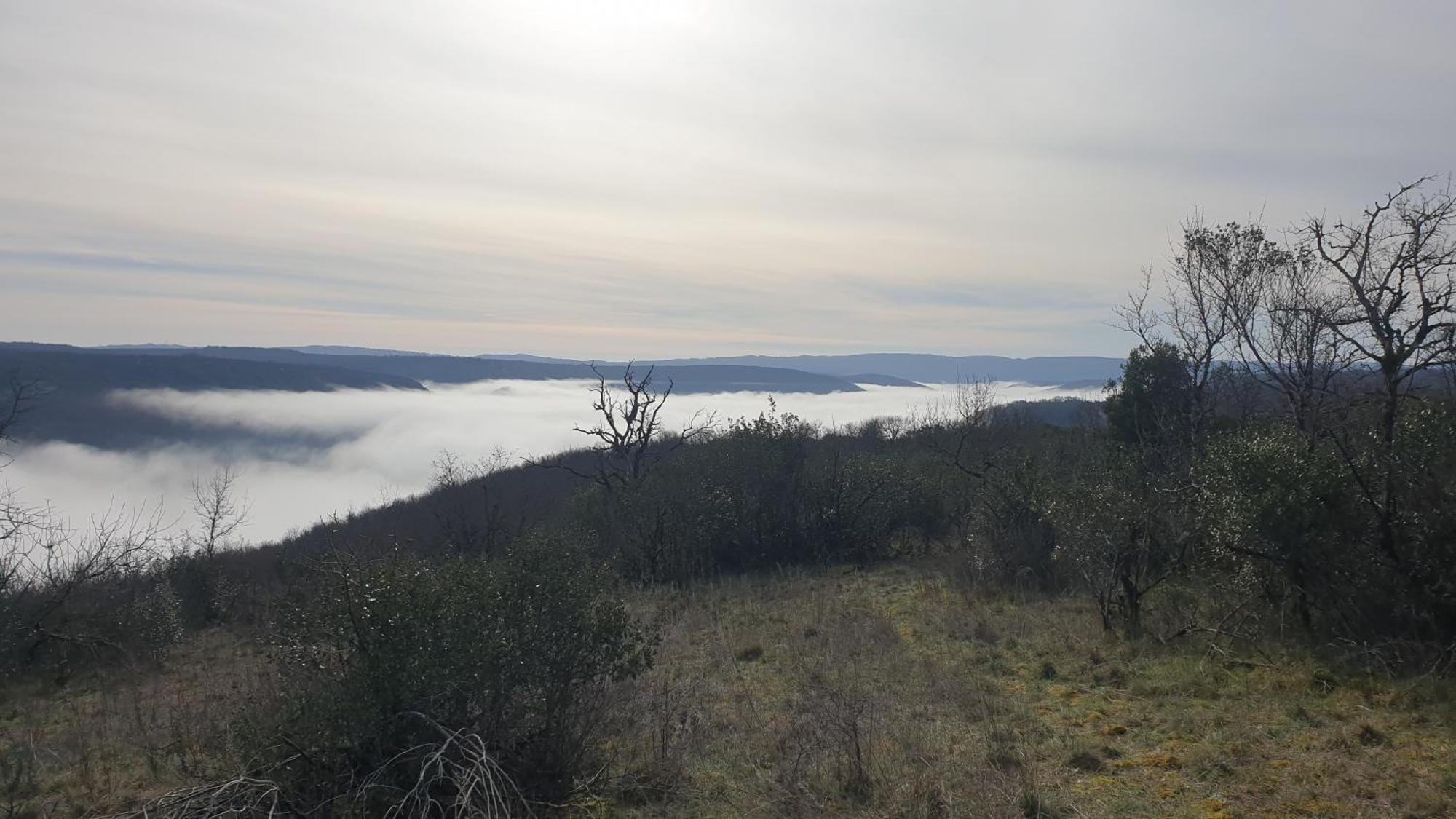 Seuls En Pleine Nature - Gite La Cote Blanche Puygaillard-de-Quercy エクステリア 写真