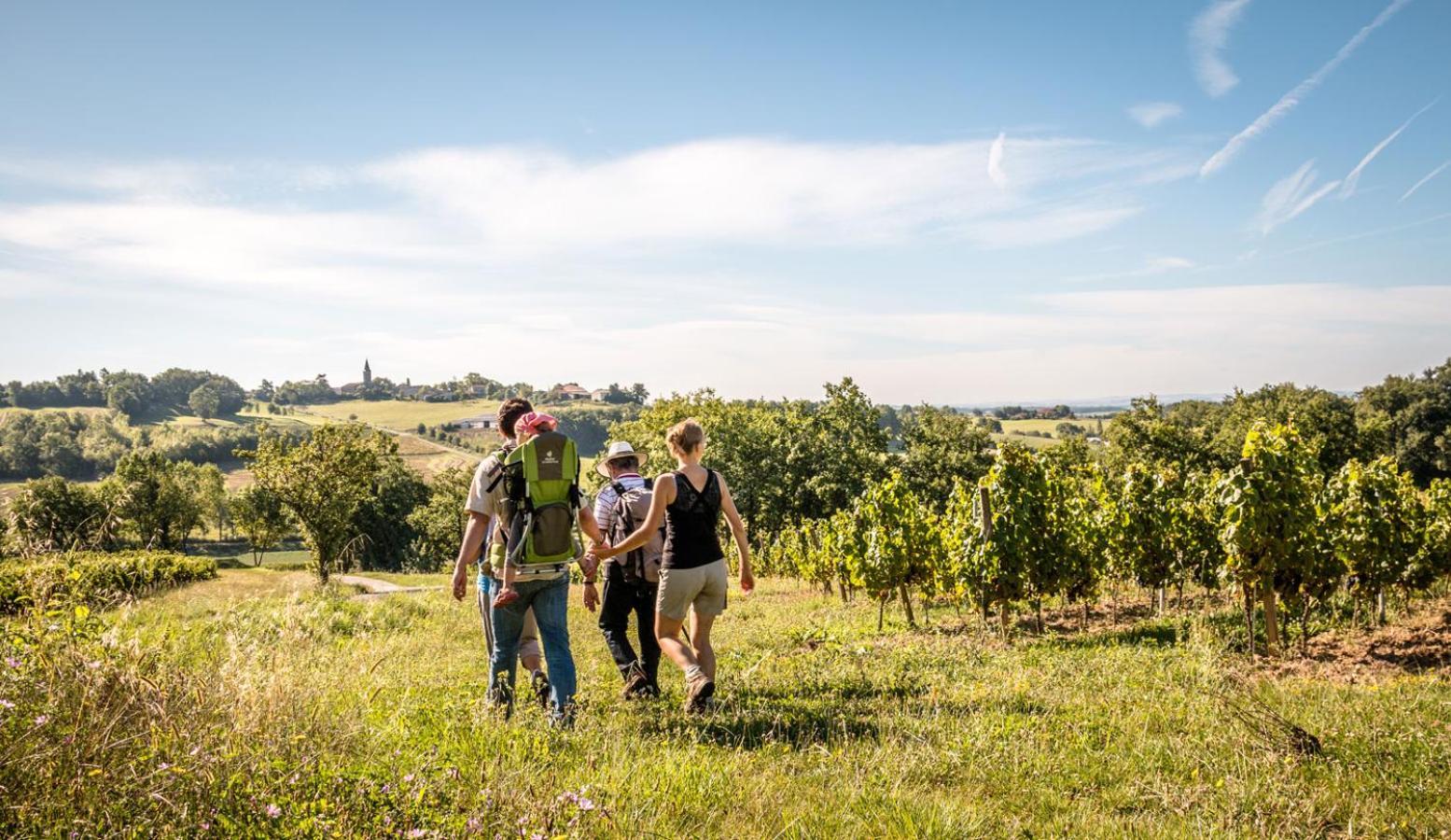 Seuls En Pleine Nature - Gite La Cote Blanche Puygaillard-de-Quercy エクステリア 写真