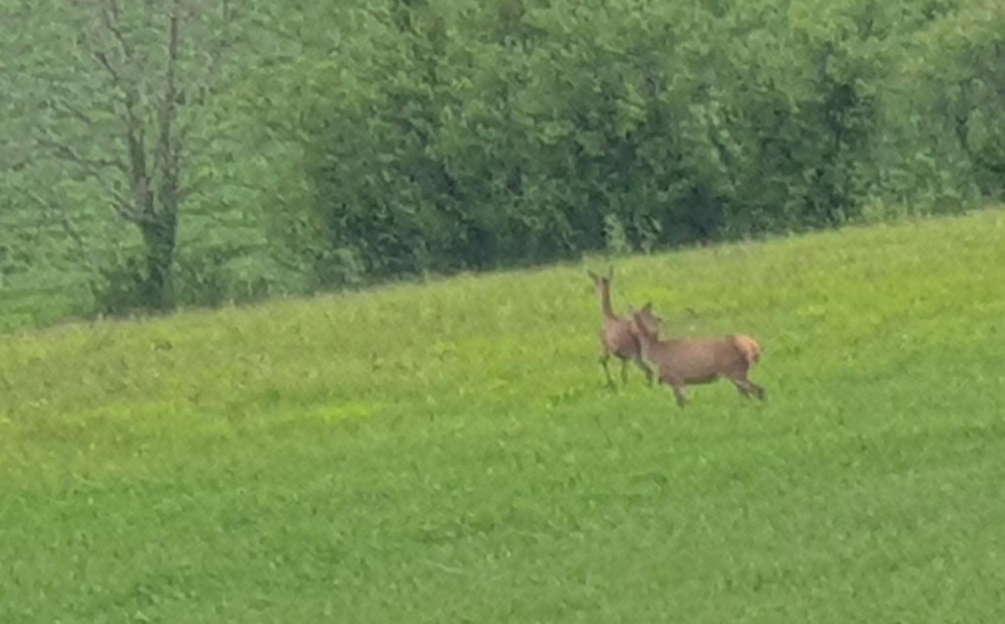 Seuls En Pleine Nature - Gite La Cote Blanche Puygaillard-de-Quercy エクステリア 写真