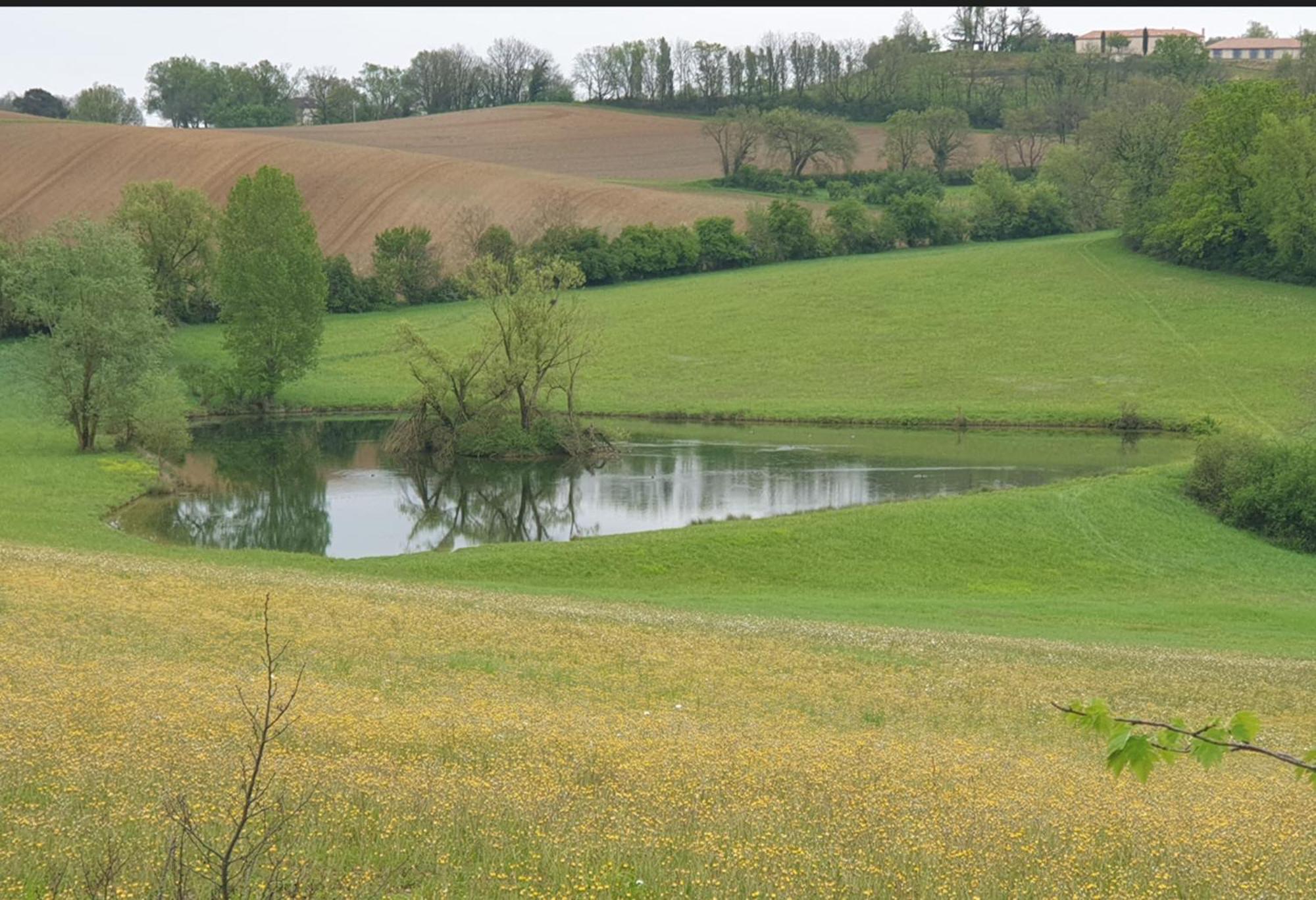 Seuls En Pleine Nature - Gite La Cote Blanche Puygaillard-de-Quercy エクステリア 写真