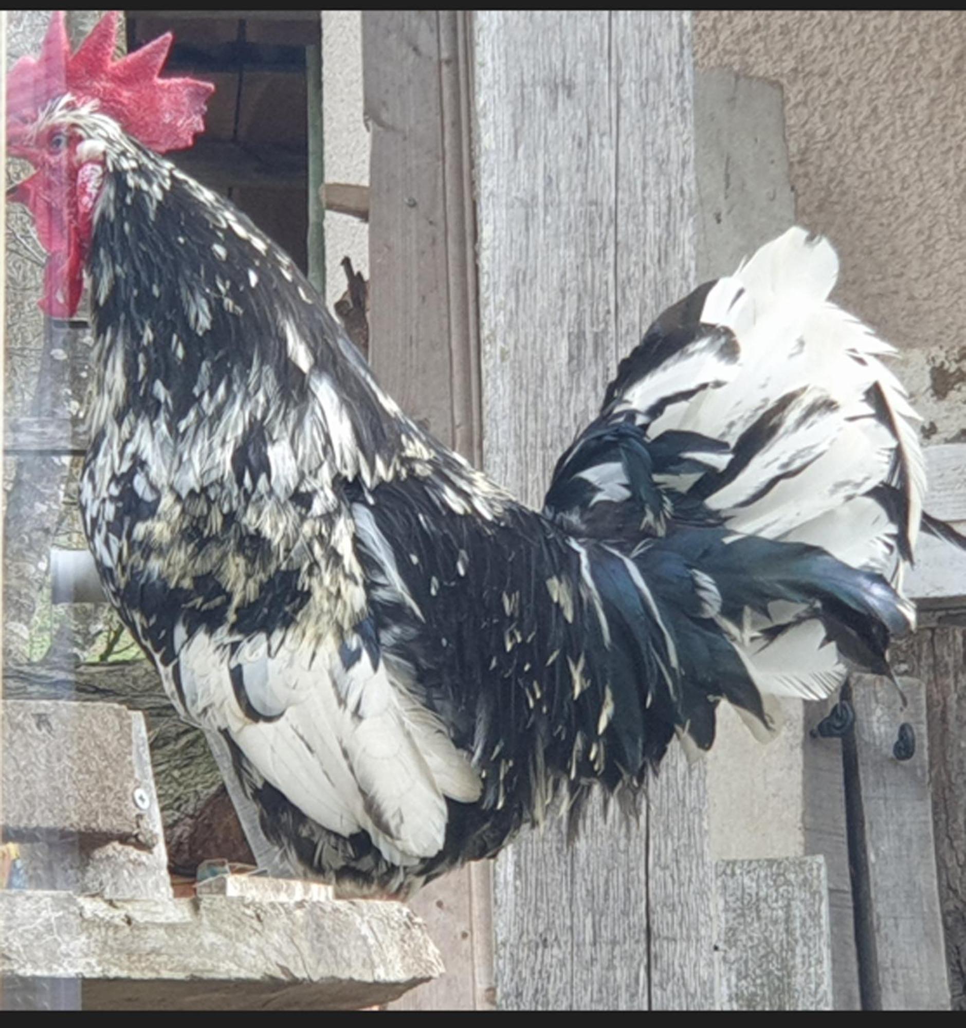 Seuls En Pleine Nature - Gite La Cote Blanche Puygaillard-de-Quercy エクステリア 写真
